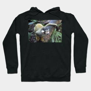 Spider Monkey Hoodie